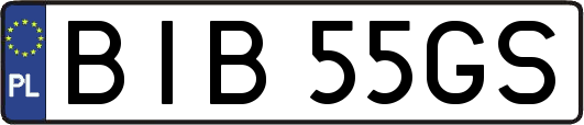 BIB55GS