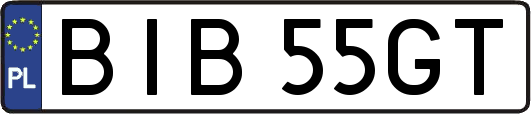 BIB55GT