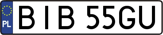 BIB55GU