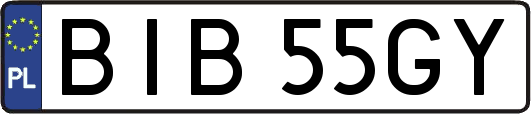 BIB55GY