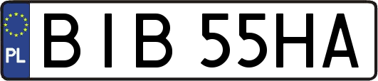 BIB55HA