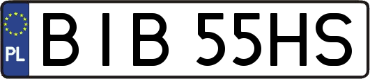 BIB55HS