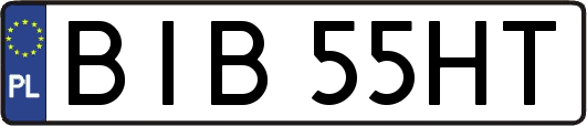BIB55HT