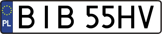 BIB55HV