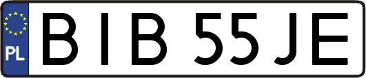 BIB55JE