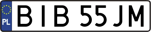 BIB55JM