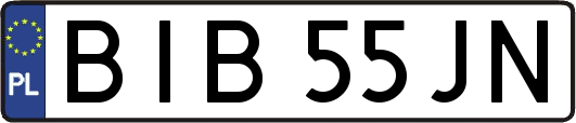 BIB55JN