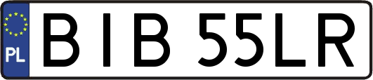 BIB55LR