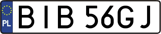 BIB56GJ