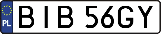 BIB56GY