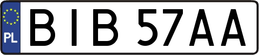 BIB57AA