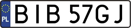 BIB57GJ