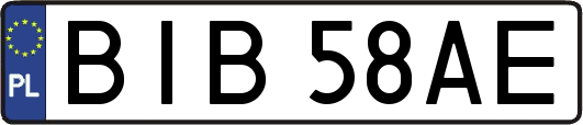 BIB58AE