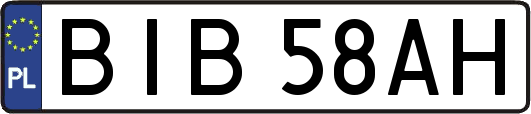 BIB58AH