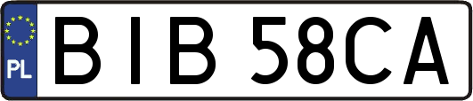 BIB58CA
