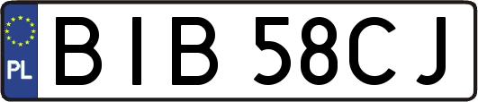 BIB58CJ