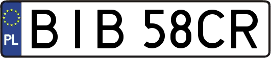 BIB58CR