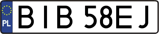BIB58EJ