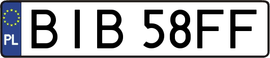 BIB58FF