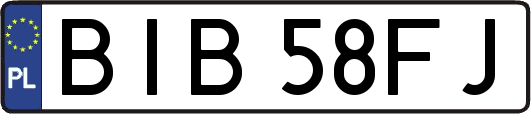 BIB58FJ
