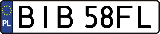 BIB58FL