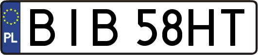BIB58HT