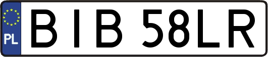 BIB58LR