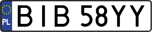 BIB58YY