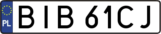 BIB61CJ