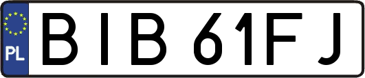 BIB61FJ