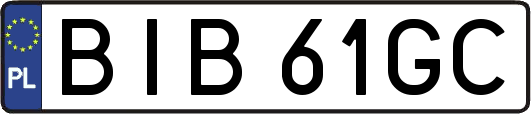 BIB61GC