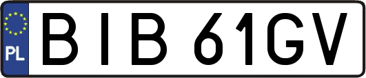 BIB61GV