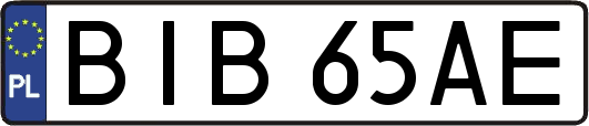 BIB65AE