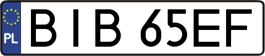BIB65EF
