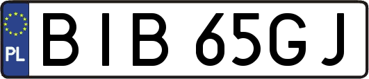 BIB65GJ