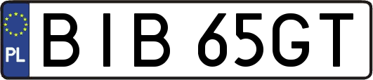 BIB65GT