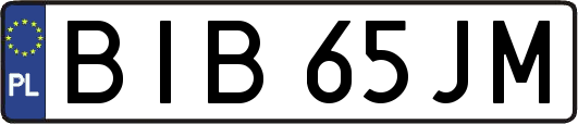 BIB65JM