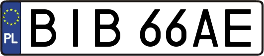 BIB66AE