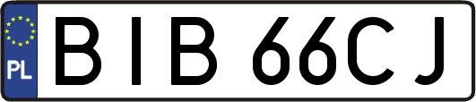 BIB66CJ