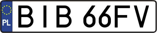 BIB66FV