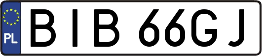 BIB66GJ