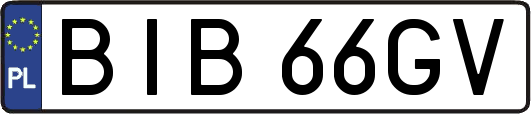 BIB66GV