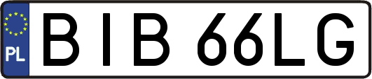 BIB66LG