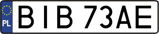 BIB73AE