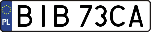 BIB73CA
