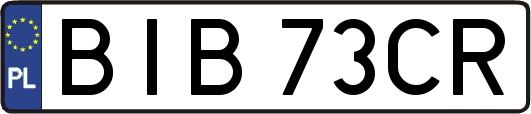 BIB73CR