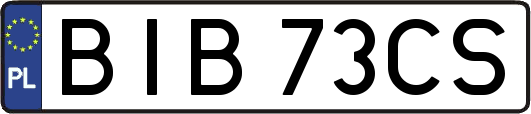 BIB73CS