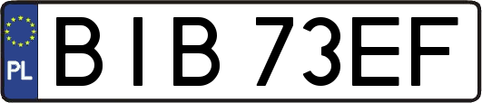 BIB73EF