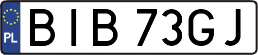 BIB73GJ