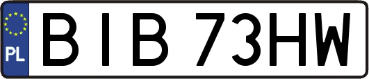 BIB73HW
